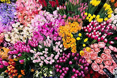 街机移植《法师死斗：灵魂之力》延期至2023年秋季发售