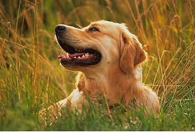 《界外狂潮》主机版本宣布延期 PC版本上线